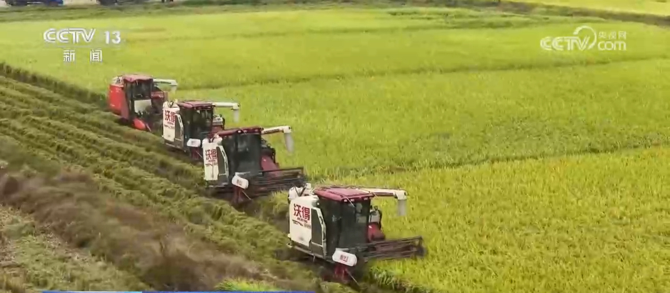 厘米級(jí)精度收割、“農(nóng)田哨兵”應(yīng)用……秋收“科技范兒”為糧食安全注入新動(dòng)能