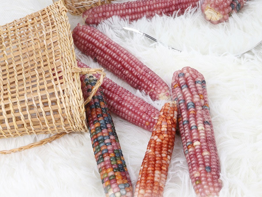 萬物皆可盤，玉米變“玉石”？小眾文玩日漸走俏，消費把玩有講究