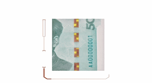 15個“00后”被抓：用家用打印機造了250萬假幣