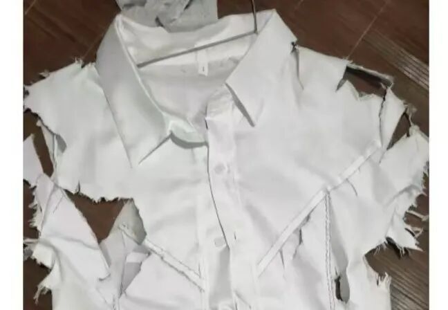 用AI偽造“藍莓腐壞”要求商家僅退款?網友:可真“刑”啊!