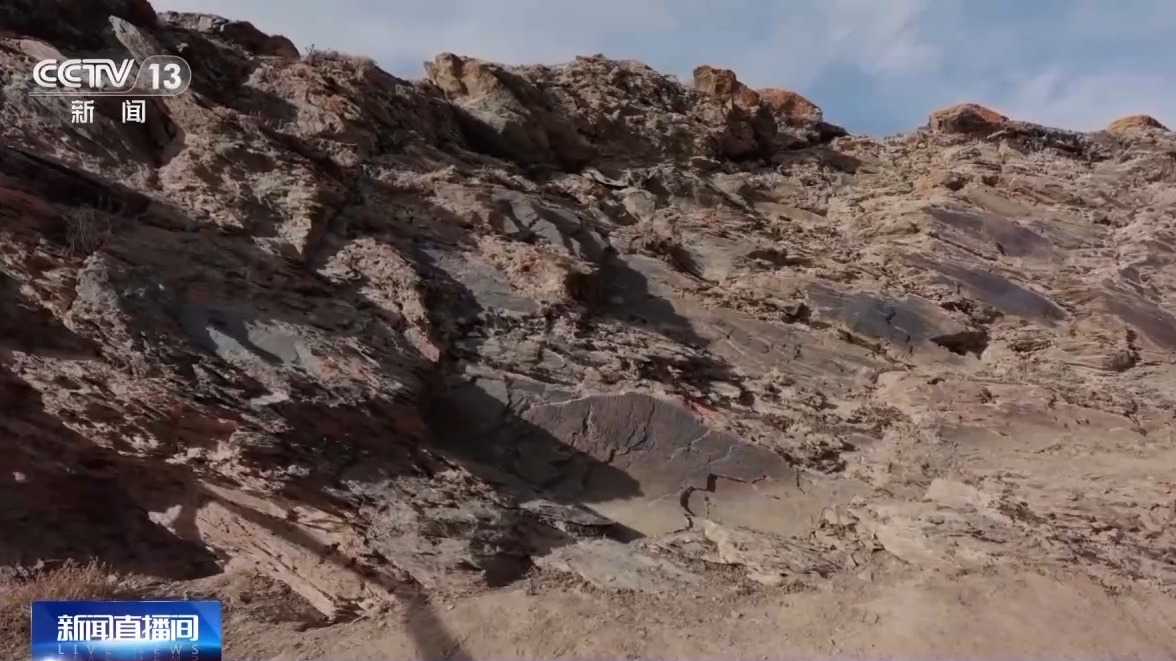 專家確認尕日塘秦刻石為真跡