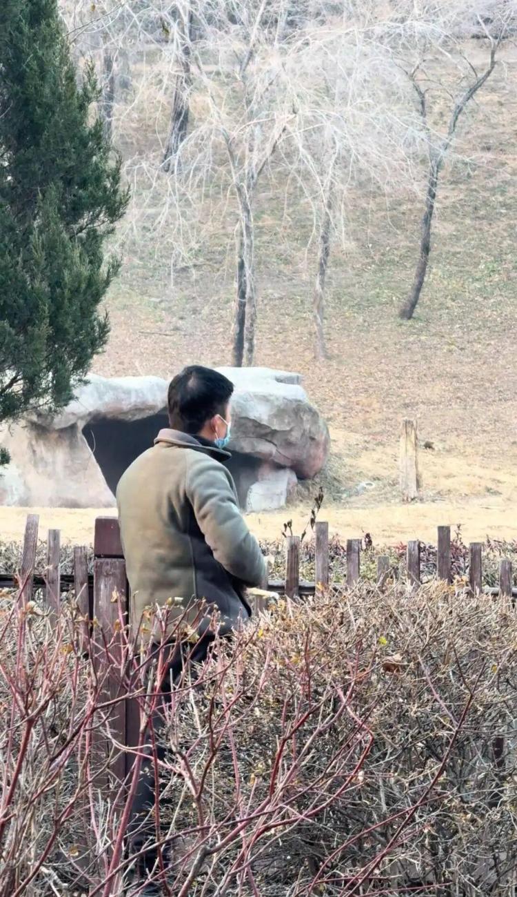 沈陽(yáng)一男子動(dòng)物園內(nèi)用彈弓射老虎,目擊者稱其“填裝了彈丸”,打完后老虎爬起來了,園方:正在核實(shí)情況
